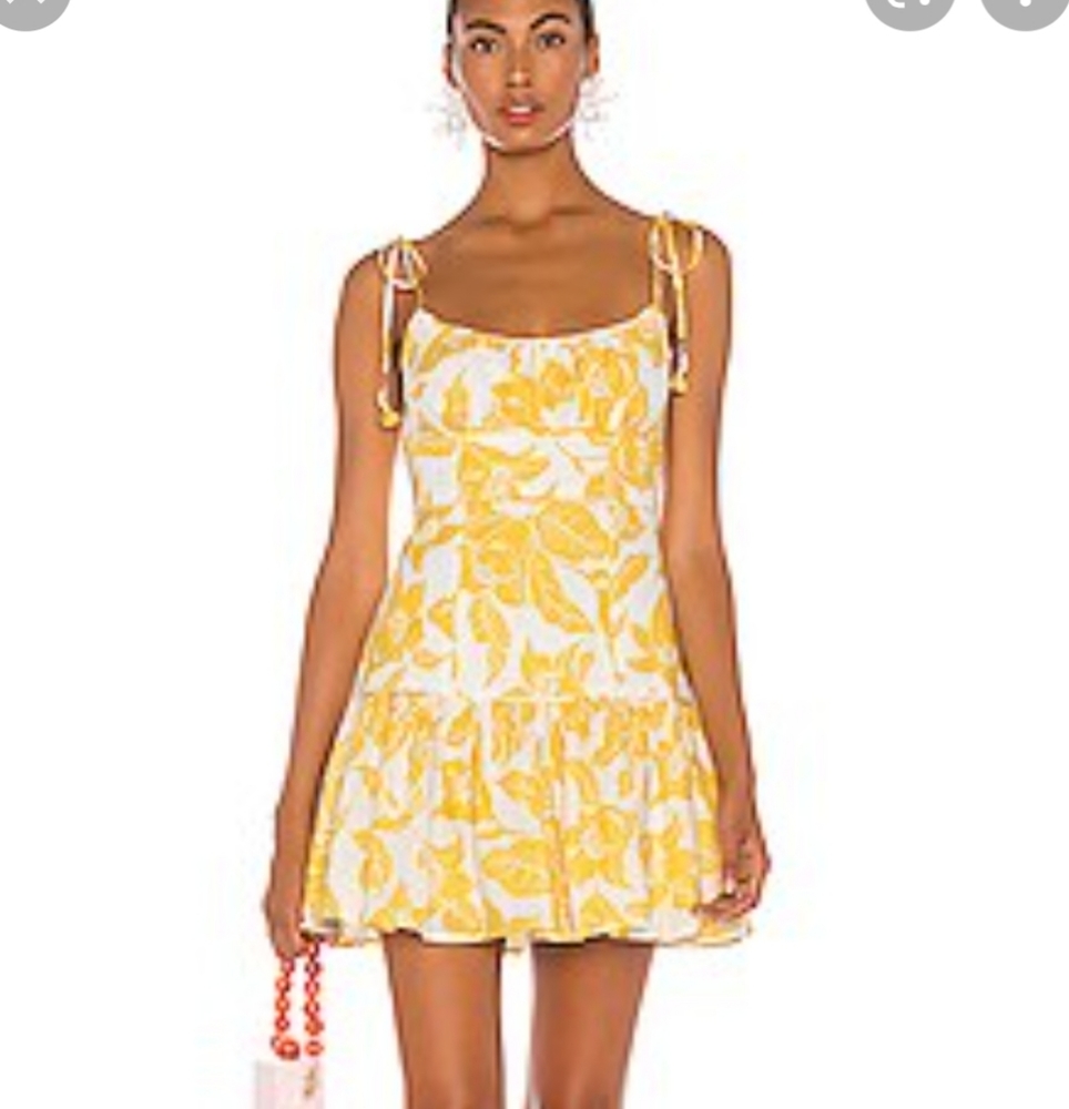 Zimmermann Bells Fit & Flare dress size 1